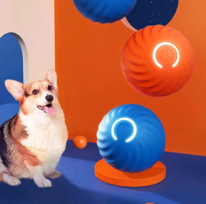 PetPulse Rubber Ball Toys For Dogs PetPulse