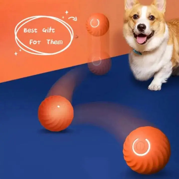 PetPulse Rubber Ball Toys For Dogs PetPulse